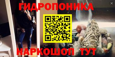 скорость Новодвинск