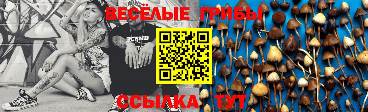 Псилоцибиновые грибы MAGIC MUSHROOMS  Вход с VPN  Дмитров 