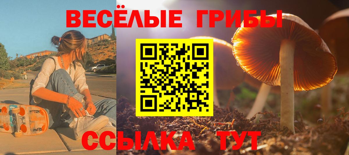 Псилоцибиновые грибы Psilocybine cubensis Дмитров
